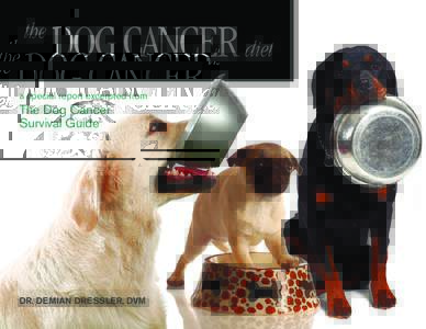 the  DOG CANCER diet a special report excerpted from