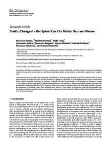 Plastic Changes in the Spinal Cord in Motor Neuron Disease