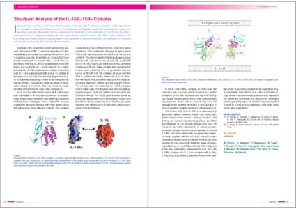 5 Structural Biology  PF Activity Report 2007 #25 Structural Analysis of the IL-15/IL-15Rα Complex antigen presenting cell