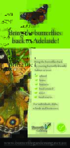 Bring the butterflies back to Adelaide! Bring the butterflies back by creating butterfly-friendly habitat at your:   school