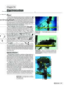 Chapter 50  Electrocution Species Affected Electrocution is primarily a problem of large raptors in