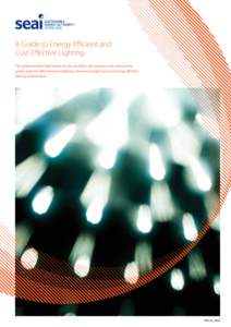 A Guide to Energy Efficient and Cost Effective Lighting This guide provides information on how specifiers and designers can improve the quality and cost effectiveness of lighting schemes through the use of energy effici
