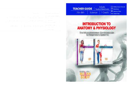 The vital resource for grading all assignments from the Introduction to Anatomy & Physiology course, which includes:  Instruction on the cardiovascular, respiratory, and musculoskeletal systems, from the level of the