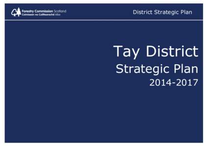 District Strategic Plan  Tay District Strategic Plan