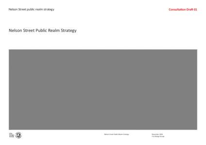 Nelson Street Public Realm Strategy Consultation_Draft3 Jan15.indd