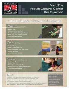 Hibulb Summer Program Flier