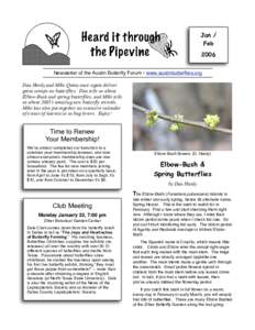 Jan / Feb 2006 Newsletter of the Austin Butterfly Forum • www.austinbutterflies.org Dan Hardy and Mike Quinn once again deliver great scoops on butterflies. Dan tells us about