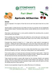 Fact Sheet  Apricots &Cherries Apricots Apricots originated in the regions of East Asia and we sell more apricot trees than any other fruit.