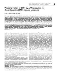 Phosphorylation of SMC1 by ATR is required for desferrioxamine (DFO)-induced apoptosis