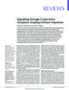 Signalling through C-type lectin receptors: shaping immune responses