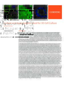 Culture and Assay Systems Used for 3D Cell Culture Review Article Suparna Sanyal, Ph.D. Introduction Mammalian cell culture has served as an invaluable tool in cell biology for several decades. Mono­