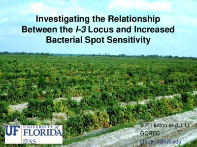 Investigating the Relationship Between the I-3 Locus and Increased Bacterial Spot Sensitivity S.F. Hutton and J. Li GCREC