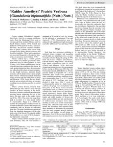 CULTIVAR AND GERMPLASM RELEASES HORTSCIENCE 42(2):391–. ‘Raider Amethyst’ Prairie Verbena [Glandularia bipinnatifida (Nutt.) Nutt.] Cynthia B. McKenney1,4, Sandra A. Balch2, and Dick L. Auld3