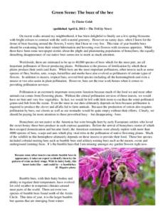 Green Scene: The buzz of the bee by Elaine Golds (published April 6, 2012 – The TriCity News) On recent walks around my neighborhood, it has been delightful to finally see a few spring blossoms with bright colours to c