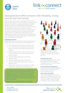 SMART WAN The private cloud company  Next generation MPLS networks offer flexibility, strong