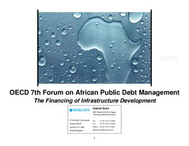 OECD 7th Forum on African Public Debt Management The Financing of Infrastructure Development Gabriel Buck MD, Head of ECA & Capex Financing Solutions Group 5 The North Colonnade