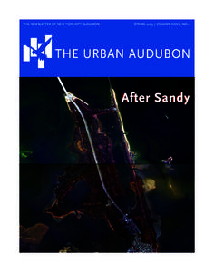 The newsletter of New York City Audubon  SpringVolume XXXIV, No. 1 THE URBAN AUDUBON After Sandy