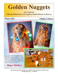 Golden Nuggets www.egrr.net Official Publication of Evergreen Golden Retriever Rescue WinterVolume 5, Issue 4