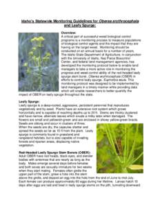 Idaho’s Statewide Monitoring Guidelines for Oberea erythrocephala and Leafy Spurge: Overview: A critical part of successful weed biological control programs is a monitoring process to measure populations of biological 