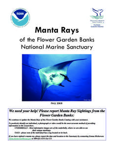 Manta Rays of the Flower Garden Banks National Marine Sanctuary Kaile Tsapis