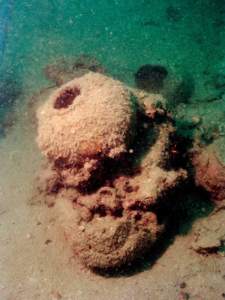 34  Dating the Belitung Shipwreck J. Keith Wilson and Michael Flecker