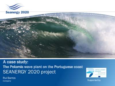 A case study:  Work package 3on the Portuguese coast The Pelamis