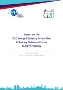 Report on the G20 Energy Efficiency Action Plan Voluntary Collaboration on Energy Efficiency Report to the G20 on 2015 Outcomes of Work Streams