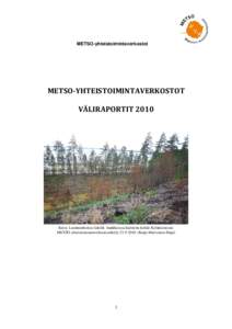 METSO-yhteistoimintaverkostot  METSO-YHTEISTOIMINTAVERKOSTOT VÄLIRAPORTITKuva: Luonnonhoitoa liekillä -hankkeessa kulotettu kohde Kyläniemessä.