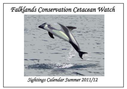 Falklands Conservation Cetacean Watch  Sightings Calendar Summer Cetaceans of the Falkland Islands waters Long-finned pilot whale