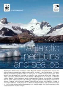 Glaciology / Aptenodytes / Tundra / Adélie Penguin / Emperor Penguin / Antarctic Peninsula / Antarctica / Sea ice / Polar ice packs / Physical geography / Flightless birds / Penguins