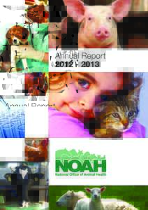 Annual Report NOAH’s year • NOAH’s year started in April with its Annual Dinner. NOAH’s 2012 charity was