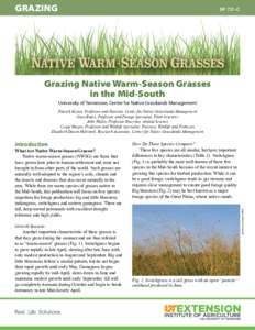 GRAZING  SP 731-C Grazing Native Warm-Season Grasses in the Mid-South