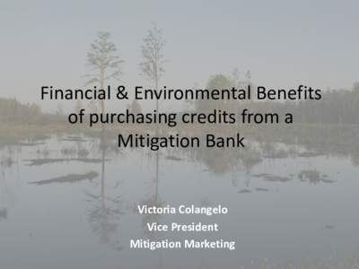 Financial & Environmental Benefits of purchasing credits from a Mitigation Bank Victoria Colangelo Vice President