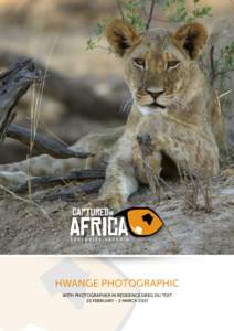 HWANGE PHOTOGRAPHIC WITH PHOTOGRAPHER IN RESIDENCE GREG DU TOIT 23 February - 2 March 2017 Exclusive Photographic Mentoring in Zimbabwe’s Hwange Captured In Africa’s friends in safari African Bush Camps are delighte