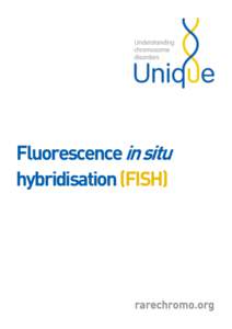 Fluorescence in situ hybridisation (FISH) rarechromo.org  Fluorescence in situ hybridization (FISH)