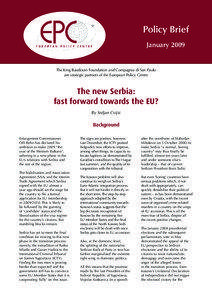 Policy Brief January 2009