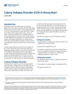 ENY-150  Colony Collapse Disorder (CCD) in Honey Bees1 Jamie Ellis2  Introduction