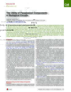 The Utility of Paradoxical Components in Biological Circuits