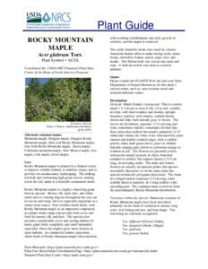 Plant Guide ROCKY MOUNTAIN MAPLE Acer glabrum Torr. Plant Symbol = ACGL Contributed By: USDA NRCS National Plant Data
