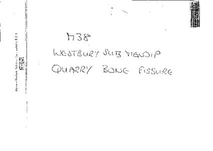 UBSS Museum Catalogue M38 Westbury sub Mendip Quarry Bone Fissure