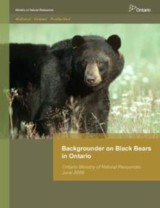 iii  Backgrounder on Black Bears in Ontario Cette publication hautement specialisée Backgrounder on Black Bears in Ontario n’est disponible qu’en Anglais