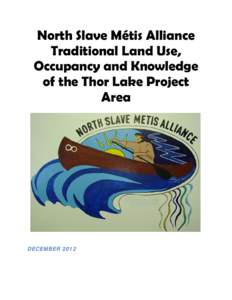 North Slave Métis Alliance Traditional Land Use, Occupancy and Knowledge of the Thor Lake Project Area