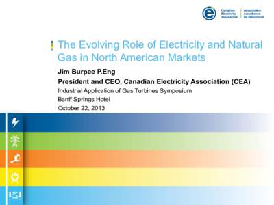 The Evolving Role of Electricity and Natural Gas in North American Markets Jim Burpee P.Eng President and CEO, Canadian Electricity Association (CEA) Industrial Application of Gas Turbines Symposium Banff Springs Hotel