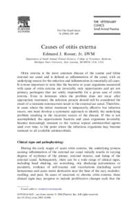 Vet Clin Small Anim–468 Causes of otitis externa Edmund J. Rosser, Jr, DVM Department of Small Animal Clinical Sciences, College of Veterinary Medicine,