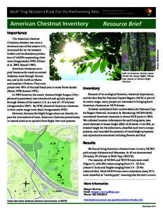 Wolf Trap National Park for the Performing Arts  National Park Service U.S. Department of the Interior  American Chestnut Inventory