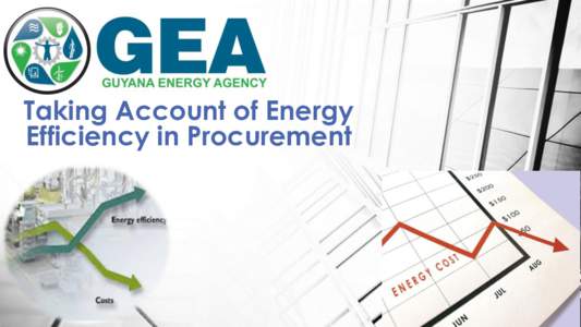 Taking Account of Energy Efficiency in Procurement GEA Vision Statement & Mandate •