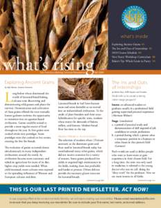 what’s inside  what’s rising San Francisco Baking Institute Newsletter  Exploring Ancient Grains 01
