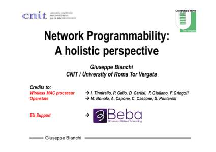 Network Programmability: A holistic perspective Giuseppe Bianchi CNIT / University of Roma Tor Vergata Credits to: Wireless MAC processor