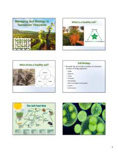 Microsoft PowerPoint - Wine Tasmania Soil Biology[removed]ppt [Compatibility Mode]
