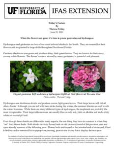 Friday’s Feature By Theresa Friday June 25, 2011 When the flowers are gone, it’s time to prune gardenias and hydrangeas Hydrangeas and gardenias are two of our most beloved shrubs in the South. They are revered for t
